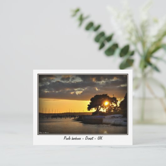 Sunset at Poole harbor - Dorset - Verenigd Koninkr Briefkaart (Staand voorkant)