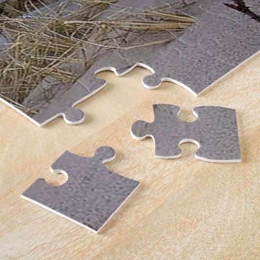 Sunset at Provincetown Massachusetts Legpuzzel (Zijkant)