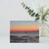 Sunset at Race Point Provincetown Cape Cod Briefkaart (Staand voorkant)