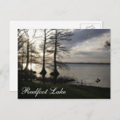 Sunset at Reelfoot Lake Briefkaart (Voorkant / Achterkant)