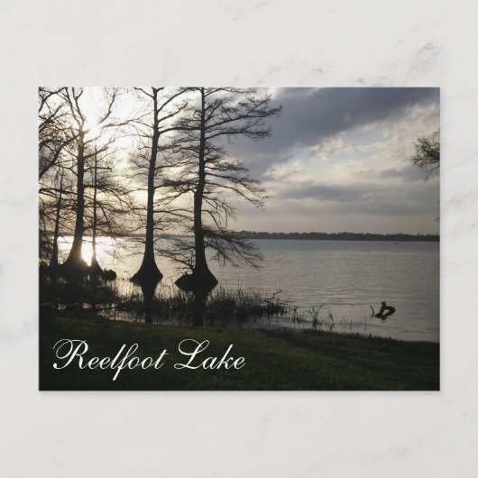 Sunset at Reelfoot Lake Briefkaart (Voorkant)