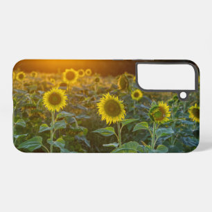 Sunset at Sunflower Field Samsung Galaxy Hoesje