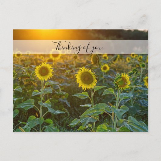 Sunset at Sunflower Field Thinking You Briefkaart (Voorkant)