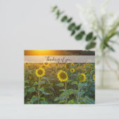 Sunset at Sunflower Field Thinking You Briefkaart (Staand voorkant)