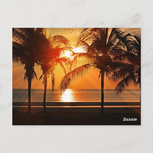 Sunset at the Beach, Tropical Landscape Briefkaart (Achterkant)