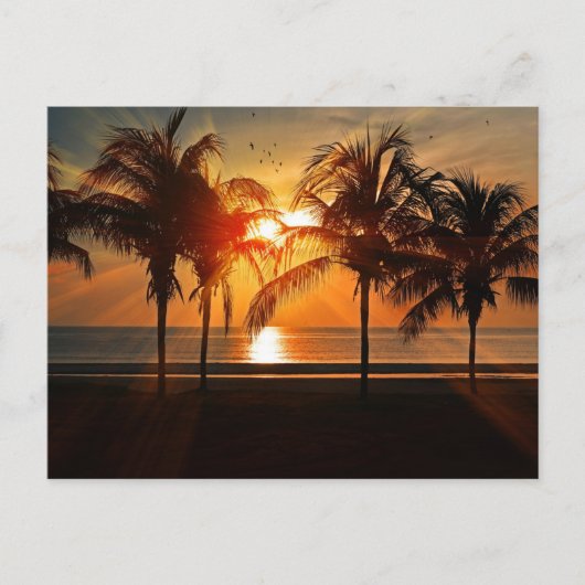 Sunset at the Beach, Tropical Landscape Briefkaart (Voorkant)