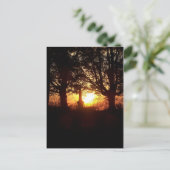 Sunset at the Cemetery Briefkaart (Staand voorkant)