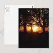Sunset at the Cemetery Briefkaart (Voorkant / Achterkant)