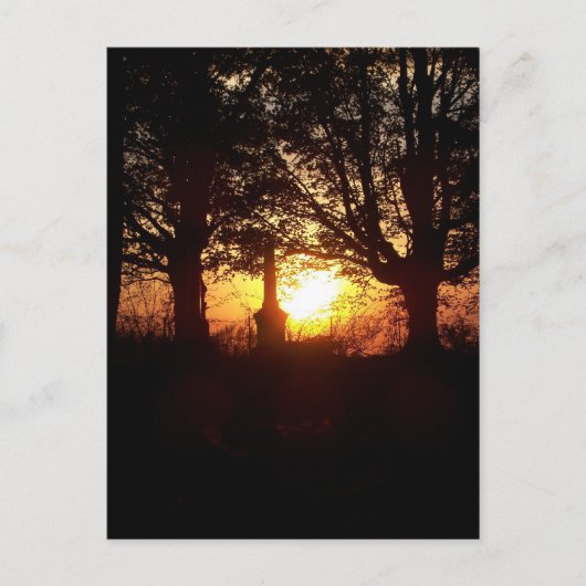 Sunset at the Cemetery Briefkaart (Voorkant)