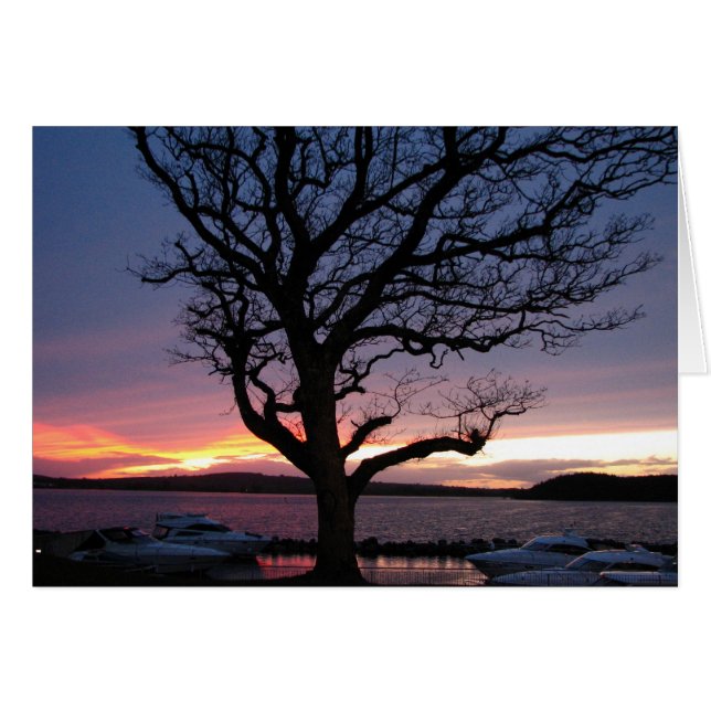 Sunset at the Harbour (Voorkant Horizontaal)