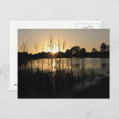 Sunset at the Pond Briefkaart (Voorkant / Achterkant)