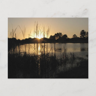 Sunset at the Pond Briefkaart