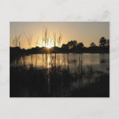 Sunset at the Pond Briefkaart (Voorkant)