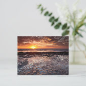 Sunset at the strand, Californië Briefkaart (Staand voorkant)