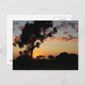 Sunset at Torrey Pines Briefkaart (Voorkant / Achterkant)