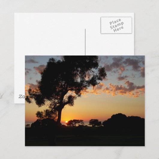 Sunset at Torrey Pines Briefkaart (Voorkant / Achterkant)