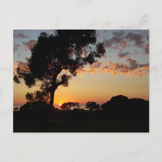 Sunset at Torrey Pines Briefkaart (Voorkant)