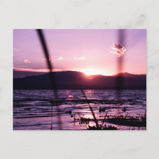 Sunset at Utah Lake Briefkaart (Voorkant)