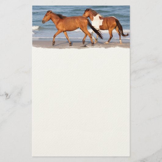 Sunset Beach Horse Briefpapier (Voorkant)