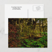 Sunset Beach State Park Briefkaart (Voorkant / Achterkant)