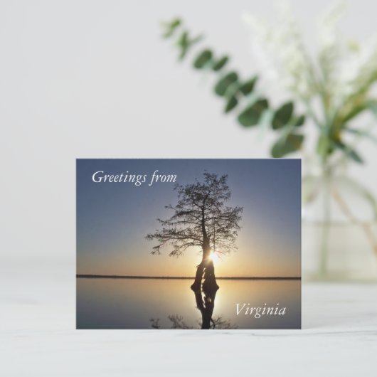 Sunset Behind a Tree Briefkaart (Staand voorkant)