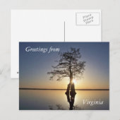 Sunset Behind a Tree Briefkaart (Voorkant / Achterkant)