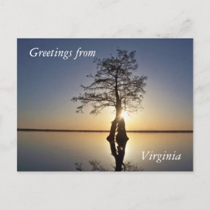 Sunset Behind a Tree Briefkaart