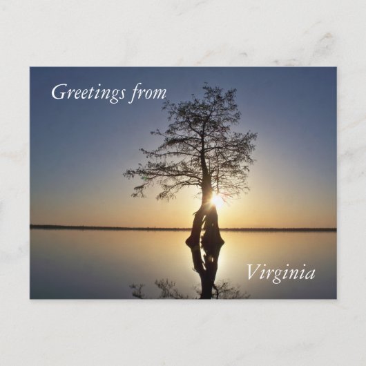 Sunset Behind a Tree Briefkaart (Voorkant)