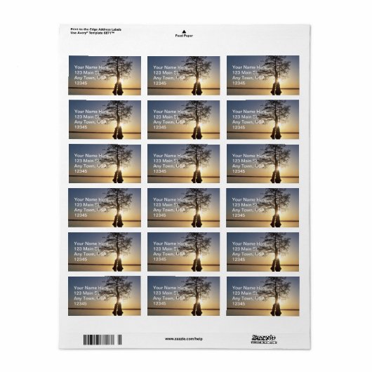 Sunset Behind a Tree Etiket (Full Sheet)