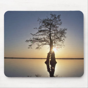 Sunset Behind a Tree Muismat