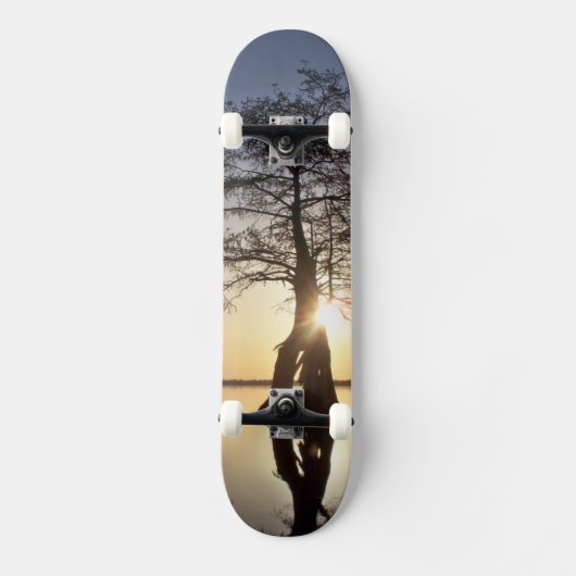 Sunset Behind a Tree Skateboard (Voorkant)