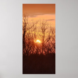 Sunset Behind the Trees Poster