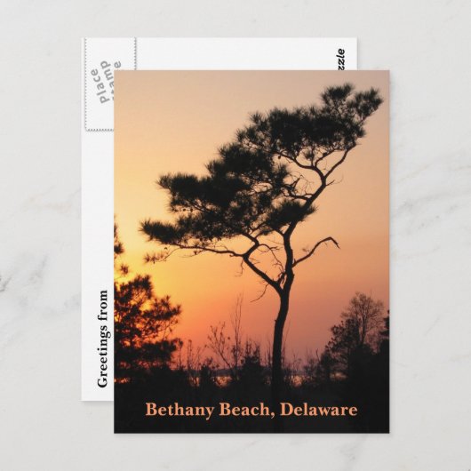 Sunset Bethany Briefkaart (Voorkant / Achterkant)