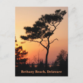 Sunset Bethany Briefkaart