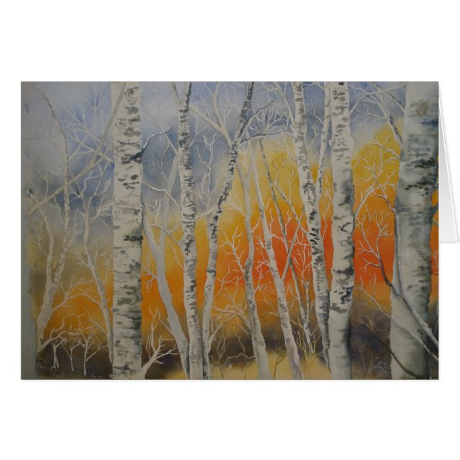 Sunset Birch Trees (Voorkant Horizontaal)