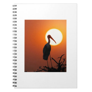 Sunset Bird on Branch - Natuur kunst aan de muur Notitieboek