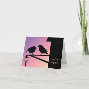 Sunset Birds Adreswijziging Aankondiging