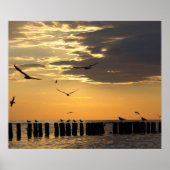 Sunset Birds Florida Print (Voorkant)