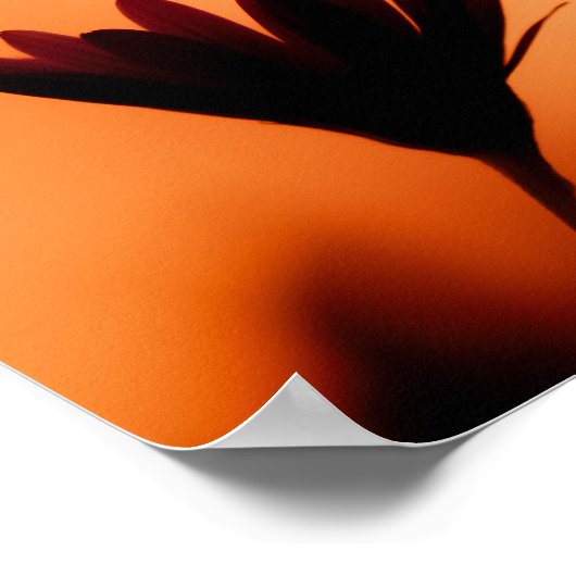 Sunset Bloom: The Silhouette of Dusk Poster (Hoek)