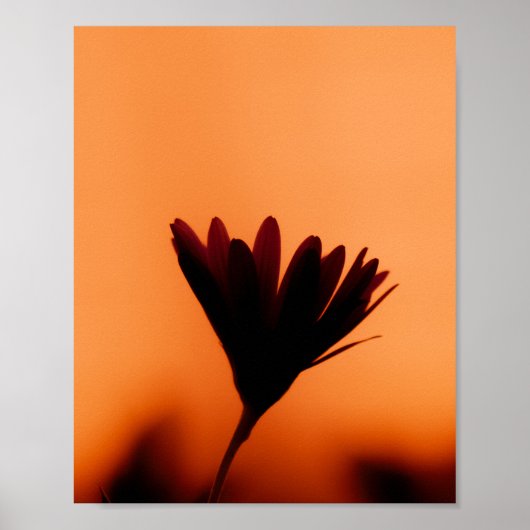 Sunset Bloom: The Silhouette of Dusk Poster (Voorkant)
