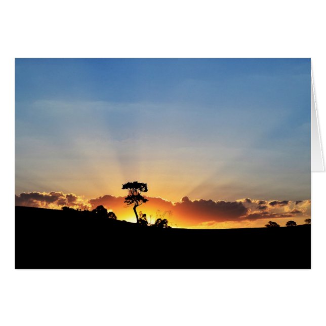 Sunset Boerderij London (Voorkant Horizontaal)