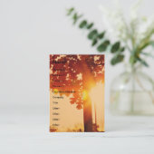 Sunset-boom Visitekaartje (Staand voorkant)