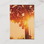 Sunset-boom Visitekaartje (Achterkant)