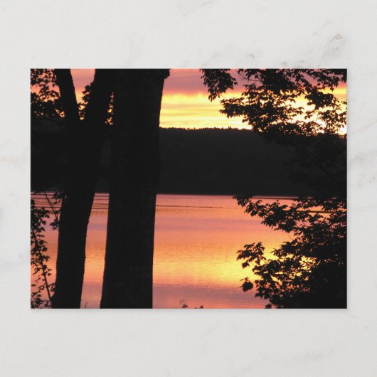Sunset Bridgewater Nova Scotia POst Card Briefkaart (Voorkant)