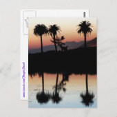 Sunset Briefkaart (Voorkant / Achterkant)