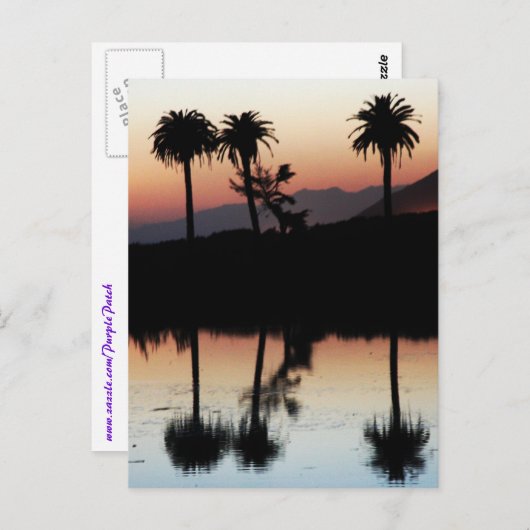 Sunset Briefkaart (Voorkant / Achterkant)