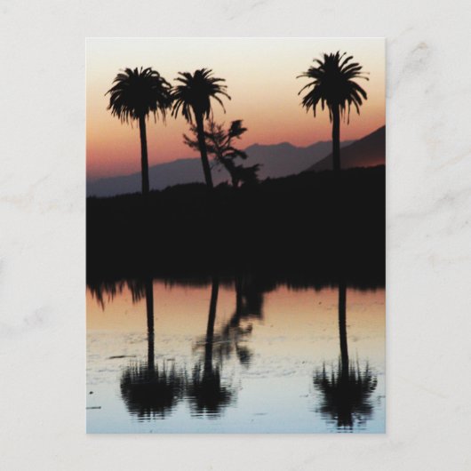 Sunset Briefkaart (Voorkant)