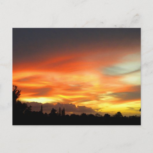 Sunset Briefkaart (Voorkant)