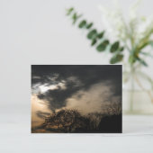 Sunset Briefkaart (Staand voorkant)