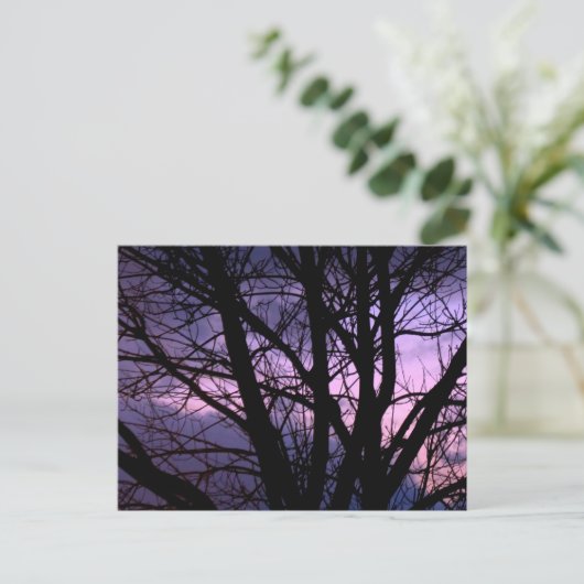 Sunset Briefkaart (Staand voorkant)